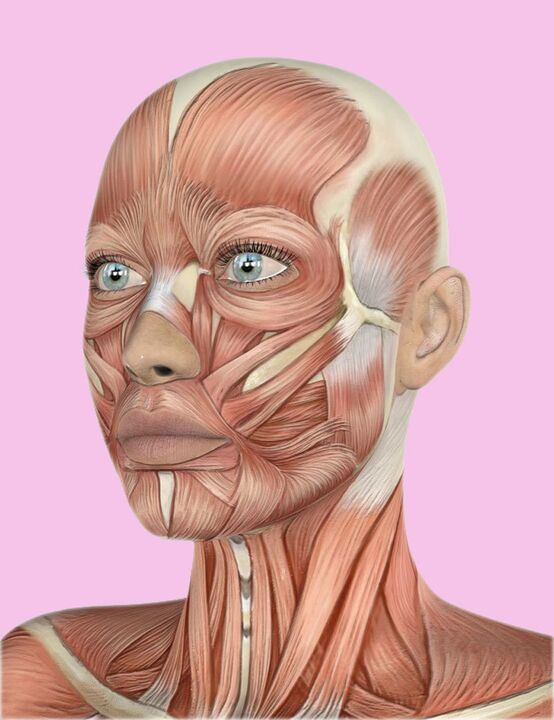 Tessuti per il viso umano