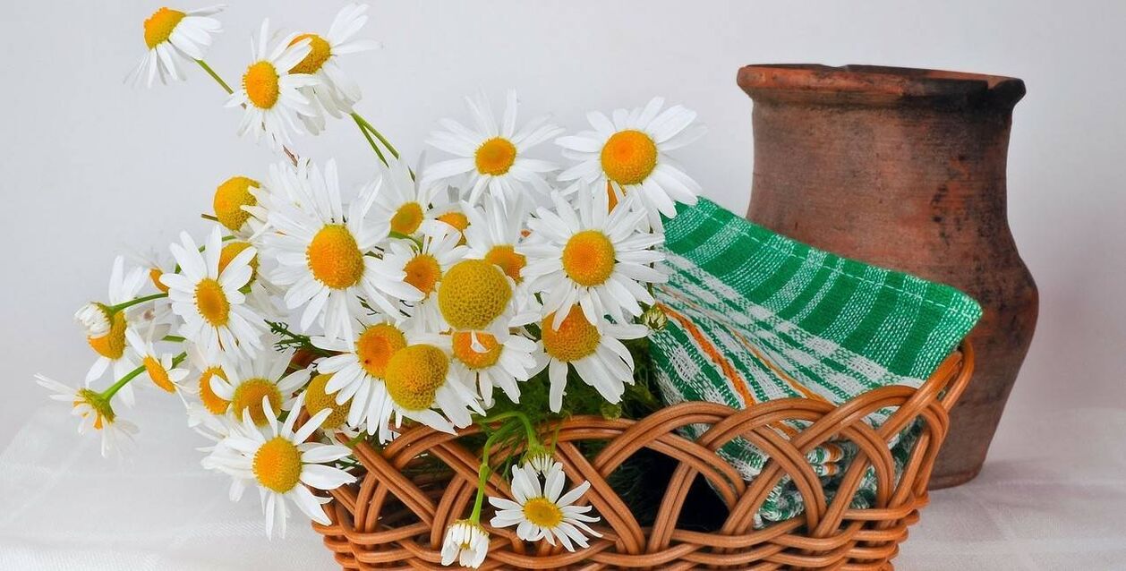 Come preparare un tonico per il viso dai fiori di camomilla